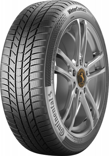 275/45 R21 TS870P 110W XL FR 3PMSF