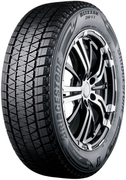 225/60 R18 DM-V3 100S 3PMSF ICE GRIP